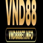 Profile picture of VND88