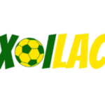 Profile picture of xoilactdcom1