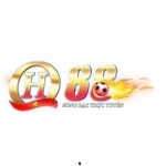 Profile picture of qh88tscom