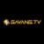 Profile picture of gavangtv11com1