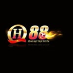 Profile picture of qh88social