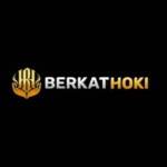 Profile picture of berkathoki1com