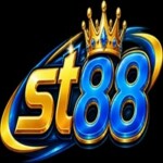 Profile picture of st882com