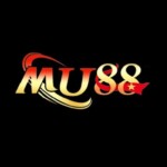 Profile picture of lingmu888com