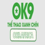 Profile picture of ok9africa