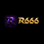 Profile picture of r6665com