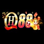 Profile picture of qh88sgv