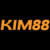 Profile picture of kim88comcom