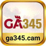 Profile picture of ga345cam