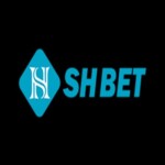 Profile picture of shbetknet1