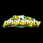 Profile picture of phalangtvtv
